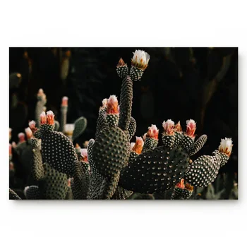 Instagram Cactus Tropical Plants Parks Kitchen Floor Bath Entrance Rug Mat Absorbent Indoor Bathroom Decor Doormats
Instagram Cactus Tropical Plants Parks Kitchen Floor Bath Entrance Rug Mat Absorbent Indoor Bathroom Decor Doormats