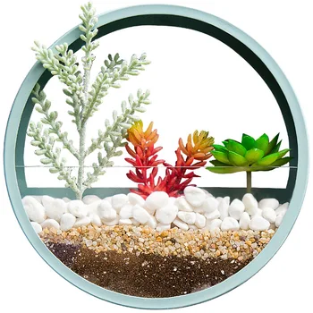 4 Colors Wall Vase Home Living Room Restaurant Hanging Flower Pot Wall Decor Succulent Plant Planters Round Iron Art Glass Vases
4 Colors Wall Vase Home Living Room Restaurant Hanging Flower Pot Wall Decor Succulent Plant Planters Round Iron Art Glass Vases