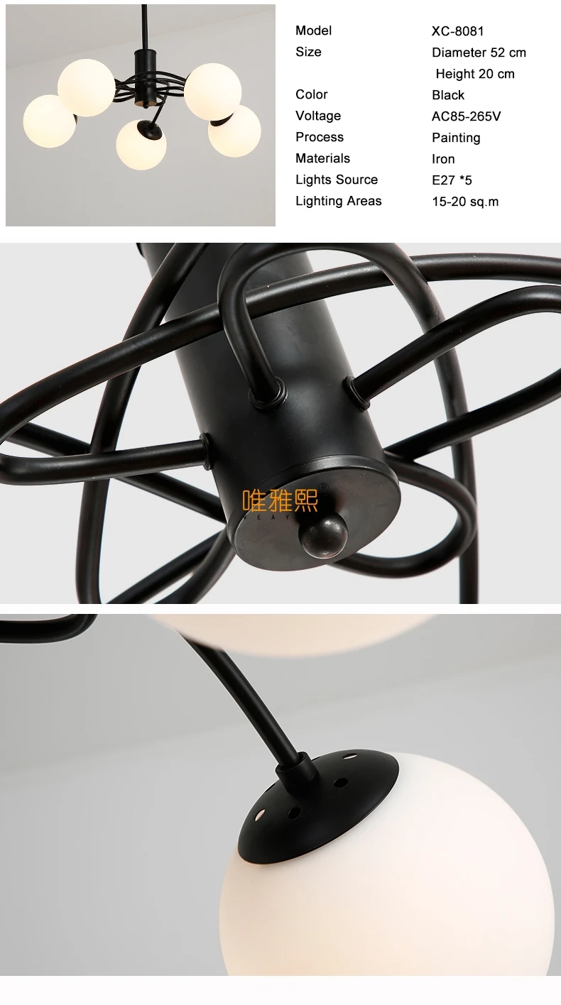 XC-8081 (8)