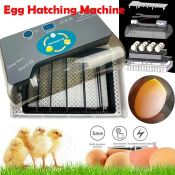 1Pc Hatching Automatic Egg Incubator Digital LED Temperature Control Hatchery Machine For Chicken Quail Poultry Birds Eggs
1Pc Hatching Automatic Egg Incubator Digital LED Temperature Control Hatchery Machine For Chicken Quail Poultry Birds Eggs