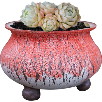 Flowerpot Personality Primitive Simplicity Glacier Crack Burst Rough Grain Tao Ventilation Medium, Please Meaty Flowerpot Pot
Flowerpot Personality Primitive Simplicity Glacier Crack Burst Rough Grain Tao Ventilation Medium, Please Meaty Flowerpot Pot
