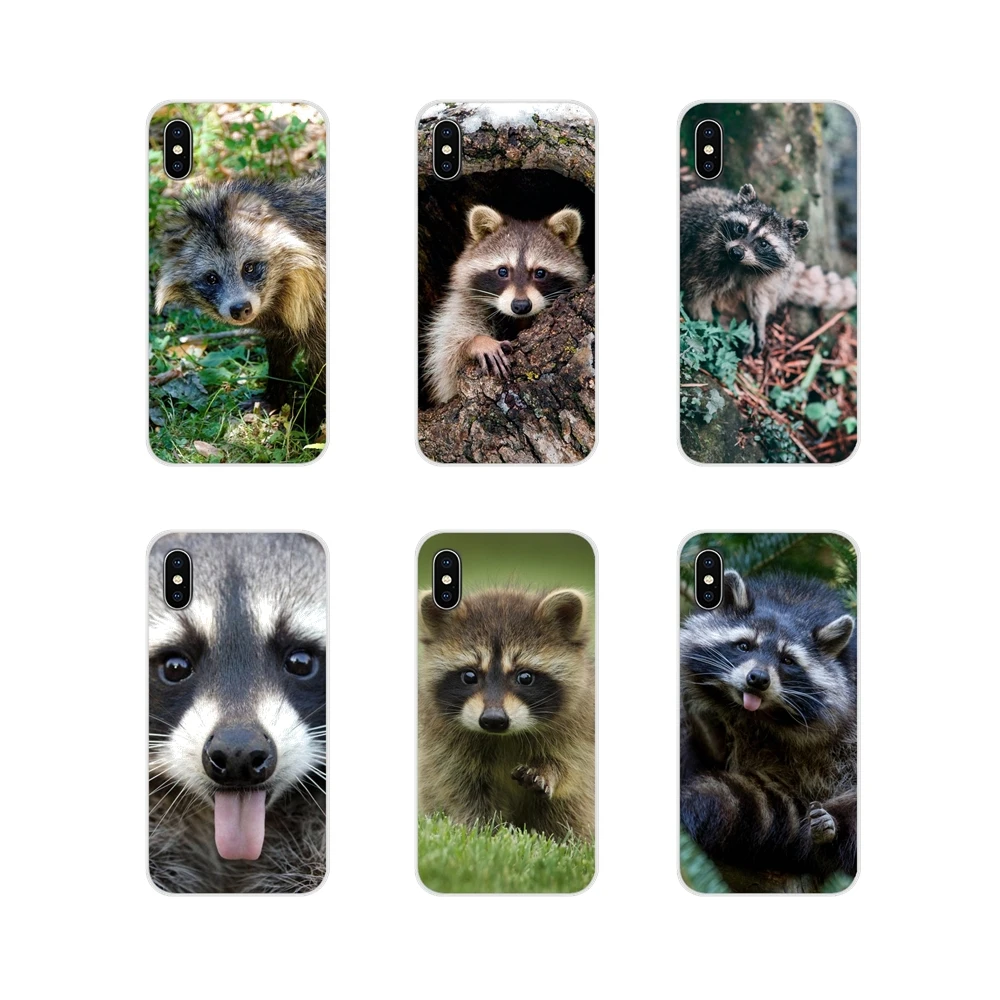 Animal raccoon Accessories Phone Shell Covers For Huawei Honor 4C 5C 6X 7 7A 7C 8 9 10 8C 8S 8X 9X 10I 20 Lite Pro | Мобильные