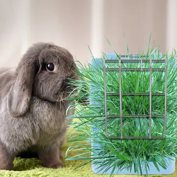 Pet Rabbit Grass Feeding Rack Chinchillas Spring Feeder Bowls for Small Pets 
Pet Rabbit Grass Feeding Rack Chinchillas Spring Feeder Bowls for Small Pets