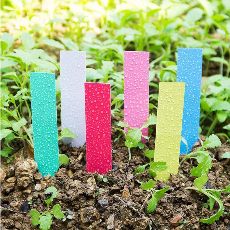 100Pcs Plants Tags Reusable Plastic Labels Tree Fruits Seedling Flower Pot Markers Garden Classification Accessories Supplies
100Pcs Plants Tags Reusable Plastic Labels Tree Fruits Seedling Flower Pot Markers Garden Classification Accessories Supplies