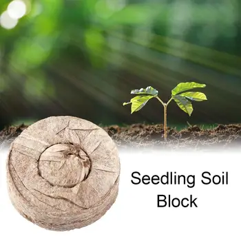 20pcs Seedling Soil Block Seed Nursery Blocks Nutrition Block Compression Peat Seed Starter Soil Plugs For Home Garden Planting
20pcs Seedling Soil Block Seed Nursery Blocks Nutrition Block Compression Peat Seed Starter Soil Plugs For Home Garden Planting
