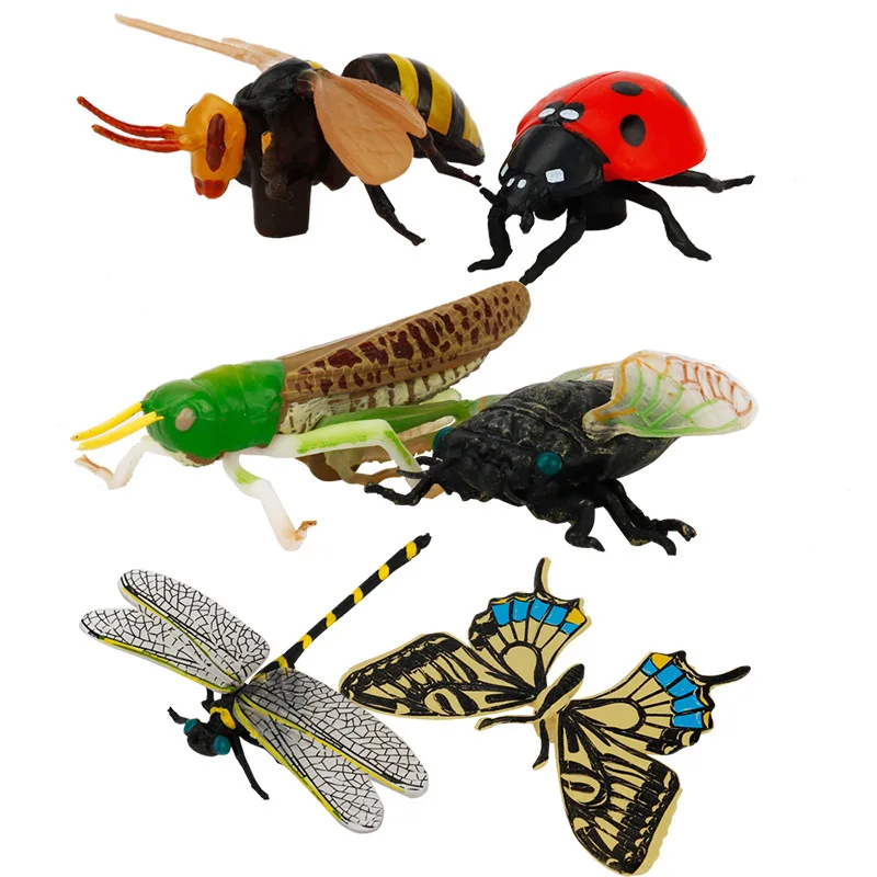 Educational Learning Toy Science Cognitive Model Insect Animal World Furnishings Sand Table Scene
Educational Learning Toy Science Cognitive Model Insect Animal World Furnishings Sand Table Scene