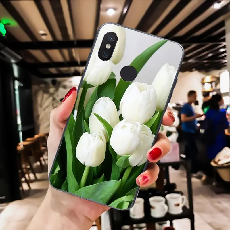 Tulip flower