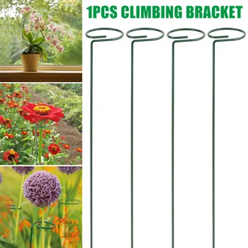 Spot Plant Support Stakes Garden Flower Support Stake Single Stem Support Stake Plant Cage Support Ring for Flowers Tomatoes
Spot Plant Support Stakes Garden Flower Support Stake Single Stem Support Stake Plant Cage Support Ring for Flowers Tomatoes
