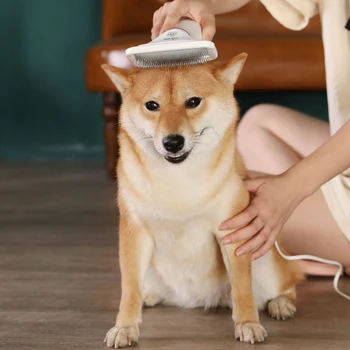 Dog Hair Dryer Pet Groom Hair Blower with Slicker Brush Adjustable Temperature 2 Settings Low Noise Hair Styling LAD-sal
Dog Hair Dryer Pet Groom Hair Blower with Slicker Brush Adjustable Temperature 2 Settings Low Noise Hair Styling LAD-sal
