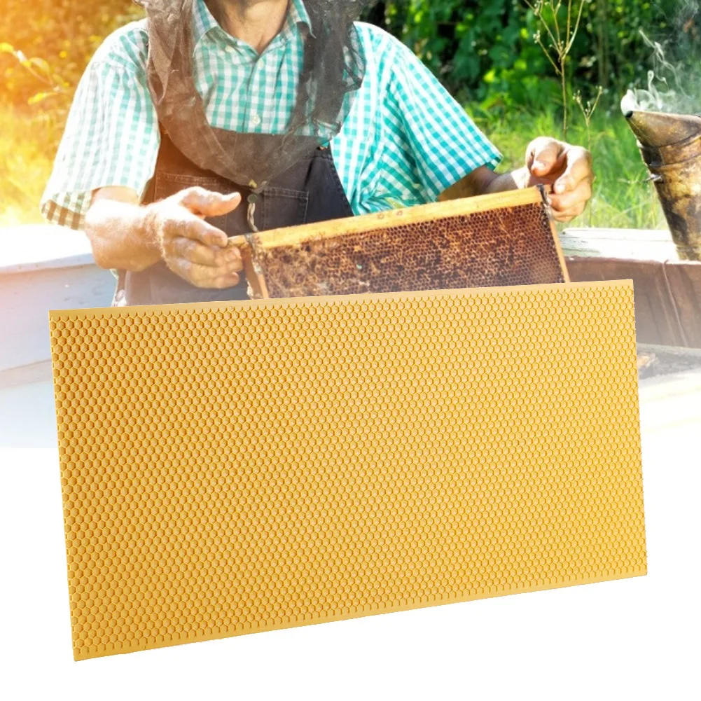 Beekeeping Frame Plastic Beekeeping Framed With Comb Foundation Beekeeping Tool Beekeeping Frame Dropshipping New
Beekeeping Frame Plastic Beekeeping Framed With Comb Foundation Beekeeping Tool Beekeeping Frame Dropshipping New