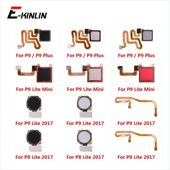 Touch ID Fingerprint Sensor Scanner Connector Flex Cable For Huawei P9 Plus P8 Lite 2017 Mini Back Home Return Button Key
Touch ID Fingerprint Sensor Scanner Connector Flex Cable For Huawei P9 Plus P8 Lite 2017 Mini Back Home Return Button Key