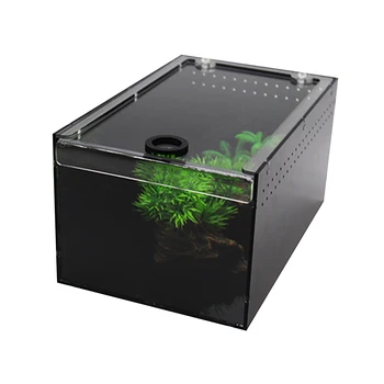 Ventilation Hole Feeding Box Tortoise Clear Front Top Rectangle Geckos Terrarium Reptile Breeding Tank Sunshade Insect Spider
Ventilation Hole Feeding Box Tortoise Clear Front Top Rectangle Geckos Terrarium Reptile Breeding Tank Sunshade Insect Spider