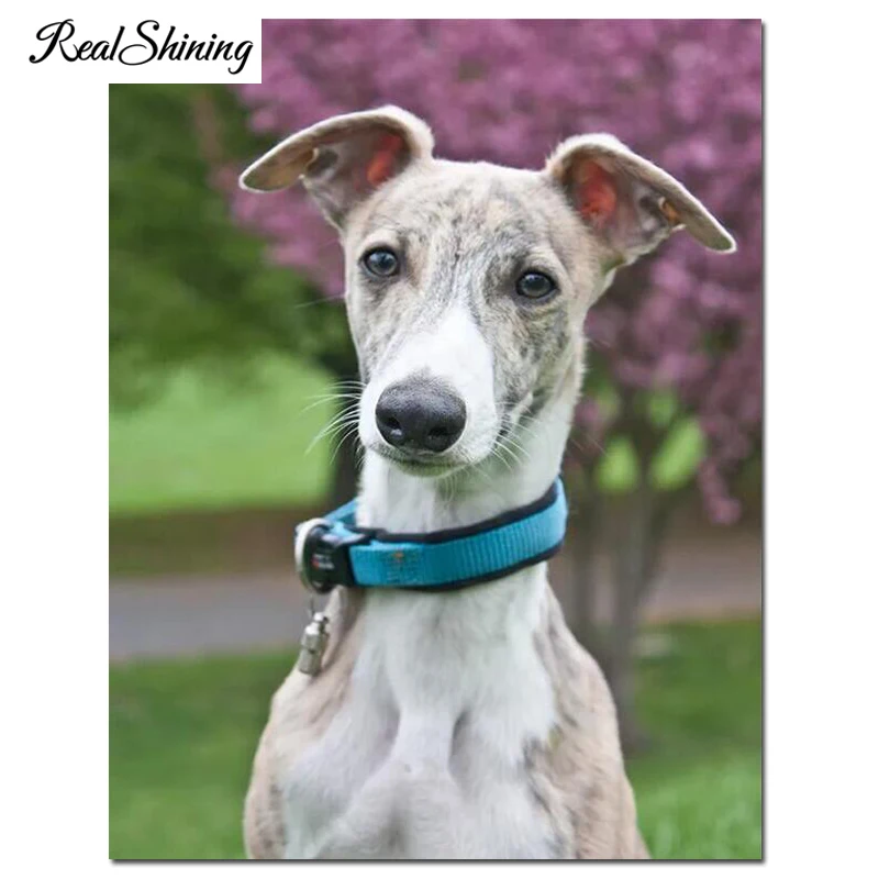 Полный квадратный круглый дрель 5d diy Алмазная картина Whippet вышивка собаки милый