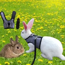 Rabbit Pet Strap Leash Lead Vest Small Animals Mesh Cotton Hamster Harness Leash
Rabbit Pet Strap Leash Lead Vest Small Animals Mesh Cotton Hamster Harness Leash