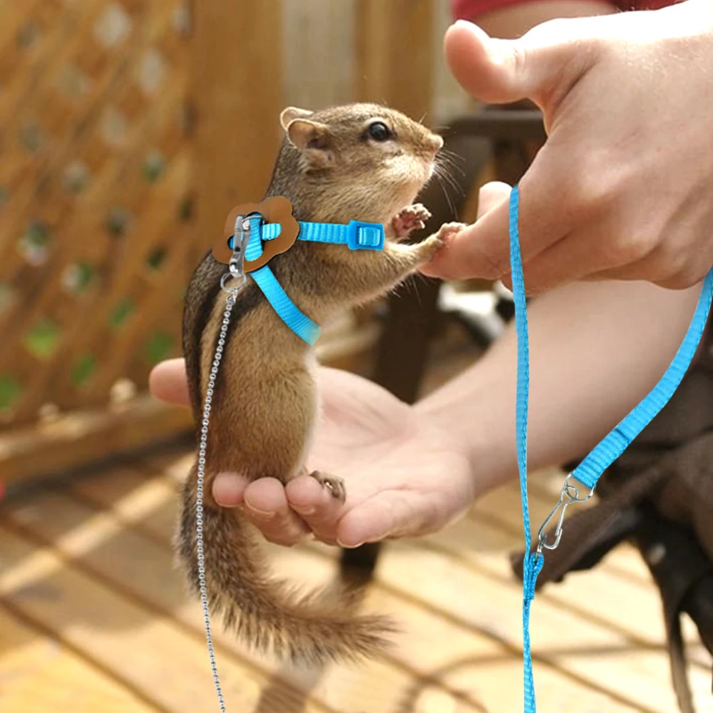 Adjustable Pet Harness and Leash For Hamster Ferret Rat Mouse Bunny Nylon Harnesses Vest Lead Rope Leash Guinea Pig Accessories
Adjustable Pet Harness and Leash For Hamster Ferret Rat Mouse Bunny Nylon Harnesses Vest Lead Rope Leash Guinea Pig Accessories