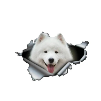 Samoyed 3D Pet Graphic Animal Car Sticker Automobiles Motorcycles Exterior Accessories Vinyl Decal for Lada Jeep Boat,13cm*8.7cm
Samoyed 3D Pet Graphic Animal Car Sticker Automobiles Motorcycles Exterior Accessories Vinyl Decal for Lada Jeep Boat,13cm*8.7cm