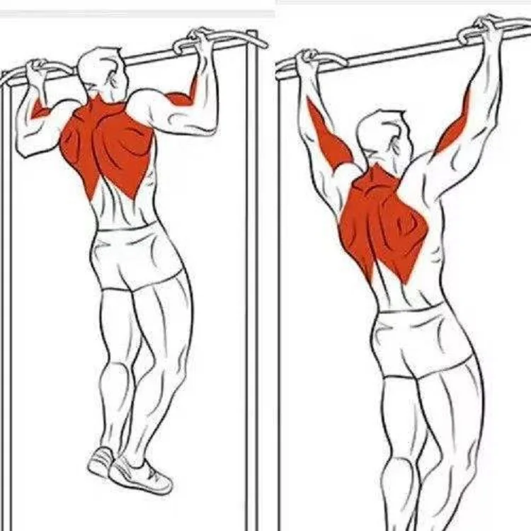 Door Trainer Combination Fitness Equipment Horizontal Bar Cross Border for Export Supply of Goods
Door Trainer Combination Fitness Equipment Horizontal Bar Cross Border for Export Supply of Goods