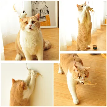 Cat Teaser Set Toy Kitten Cat Teaser Toy Feather Bell Model Mouse Wool Ball Cat Toy Supplies
Cat Teaser Set Toy Kitten Cat Teaser Toy Feather Bell Model Mouse Wool Ball Cat Toy Supplies
