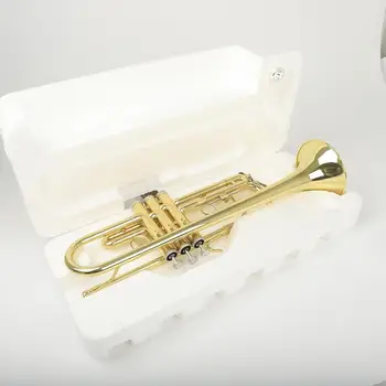 Manufacturer B flat brass trumpet musical instrument gold trumpet playing Musical Instruments trumpet large quantity i
Manufacturer B flat brass trumpet musical instrument gold trumpet playing Musical Instruments trumpet large quantity i