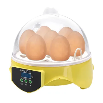 7 Eggs Automatic Egg Incubator Poultry Incubator Digital Temperature Control Hatcher Chicken Duck Bird Hatcher
7 Eggs Automatic Egg Incubator Poultry Incubator Digital Temperature Control Hatcher Chicken Duck Bird Hatcher