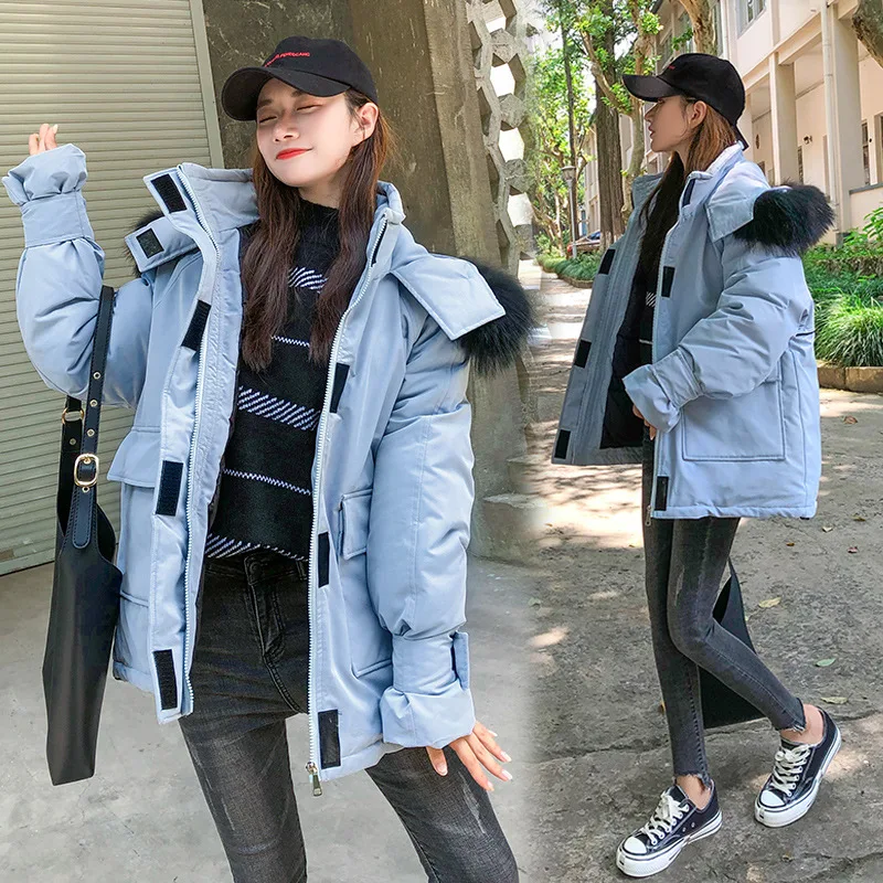 Photo Shoot 2019 Korean-style Winter New Style down Jacket Cotton-padded Clothes WOMEN'S Dress Workwear Online Celebrity CHIC Co 
Photo Shoot 2019 Korean-style Winter New Style down Jacket Cotton-padded Clothes WOMEN'S Dress Workwear Online Celebrity CHIC Co