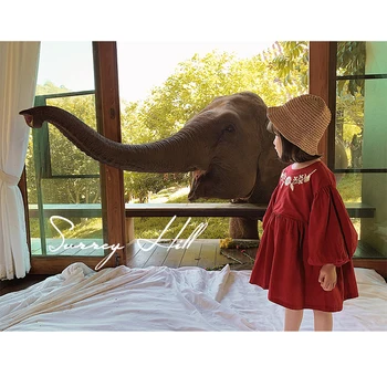 2020 Girls Spring Embroidered Dress Children's Round Neck Long Sleeve Dress
2020 Girls Spring Embroidered Dress Children's Round Neck Long Sleeve Dress