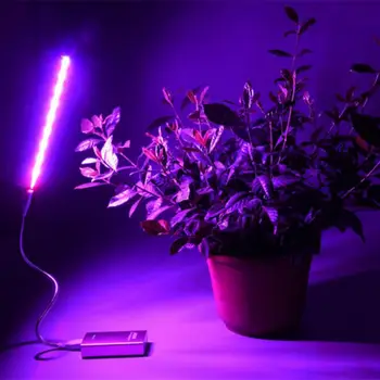 LED Grow Lights 2.5W Full Spectrum Growing LED Lamp Lighting Tube Plant Chandelier For Hydroponic Indoor Plants
LED Grow Lights 2.5W Full Spectrum Growing LED Lamp Lighting Tube Plant Chandelier For Hydroponic Indoor Plants