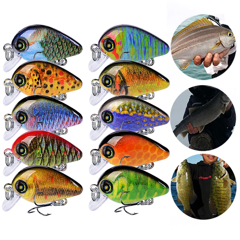 10pcs Mini Fishing Baits Plastic Crankbaits Small Fat Bass Lures Sensitivity Durable Buoyancy Tool For Fishing Enthusiasts
10pcs Mini Fishing Baits Plastic Crankbaits Small Fat Bass Lures Sensitivity Durable Buoyancy Tool For Fishing Enthusiasts