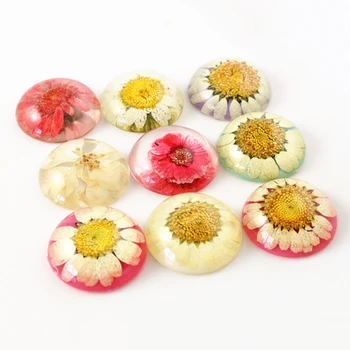 

New Fashion 5pcs 25mm Mixed Color Natural Dried Flowers Flat Back Resin Cabochons Cameo G3-29