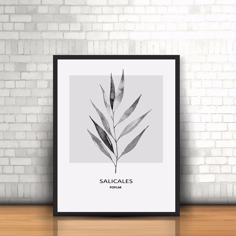 Nordic Abstract Canvas Print Painting Poster of Monstera & Salicales,Unframed Modern Simplicity Wall Picture for Home Decoration
Nordic Abstract Canvas Print Painting Poster of Monstera & Salicales,Unframed Modern Simplicity Wall Picture for Home Decoration