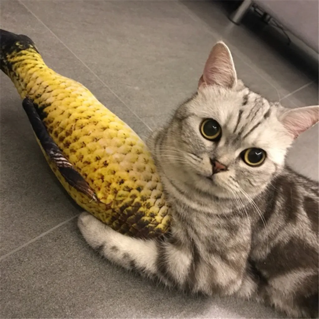 Realistic Cat Toy Fish Catnip Mint Stuffed Pet Interactive Chewing Play 20cm Pet Soft Plush 3D Fish Shape Cat Toy 2019 High
Realistic Cat Toy Fish Catnip Mint Stuffed Pet Interactive Chewing Play 20cm Pet Soft Plush 3D Fish Shape Cat Toy 2019 High