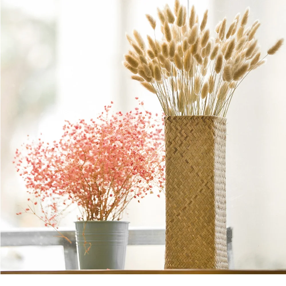 100 шт. Натуральные сушеные цветы, букеты и урария пикта и хвост кролика, трава, цветы, букеты и цветы собаки, пучки
100 шт. Натуральные сушеные цветы, букеты и урария пикта и хвост кролика, трава, цветы, букеты и цветы собаки, пучки