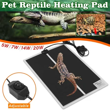 1Pc Reptiles Heat Mat Climbing Pet Warm Heating Pads Adjustable Temperature Controller Heating Mats Reptiles Supplies 5/7/14/20W
1Pc Reptiles Heat Mat Climbing Pet Warm Heating Pads Adjustable Temperature Controller Heating Mats Reptiles Supplies 5/7/14/20W