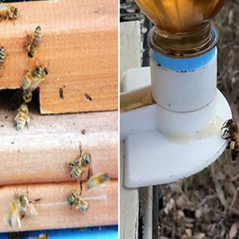 10pcs Bee Feeder Honey Entrance Feeder Beekeeping Cap Thread Feeder Bee Keeping Equip Hive Tool Queen Rearing System h2
10pcs Bee Feeder Honey Entrance Feeder Beekeeping Cap Thread Feeder Bee Keeping Equip Hive Tool Queen Rearing System h2