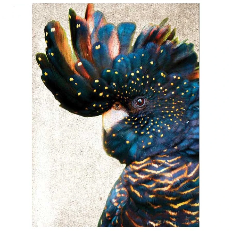 Diamond Painting Cross Stitch DIY Diamond Embroidery Round Color Diamond Parrot Picture Needlework square rhinestone arts L768
Diamond Painting Cross Stitch DIY Diamond Embroidery Round Color Diamond Parrot Picture Needlework square rhinestone arts L768