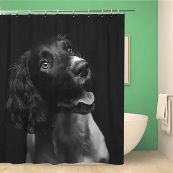 Bathroom Shower Curtain Working English Springer Spaniel Puppy Six Month Old Studio Polyester Fabric Waterproof Bath Curtain
Bathroom Shower Curtain Working English Springer Spaniel Puppy Six Month Old Studio Polyester Fabric Waterproof Bath Curtain