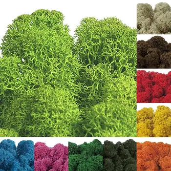 Simulation Plant Moss Fake Flower Family Decoration Theme Party Decoration Element Christmas Nativity Scene
Simulation Plant Moss Fake Flower Family Decoration Theme Party Decoration Element Christmas Nativity Scene