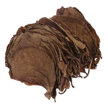 50pcs Natural Catappa Leaves Almond Leaf Fish Cleaning Treatment Aquarium Tank
50pcs Natural Catappa Leaves Almond Leaf Fish Cleaning Treatment Aquarium Tank