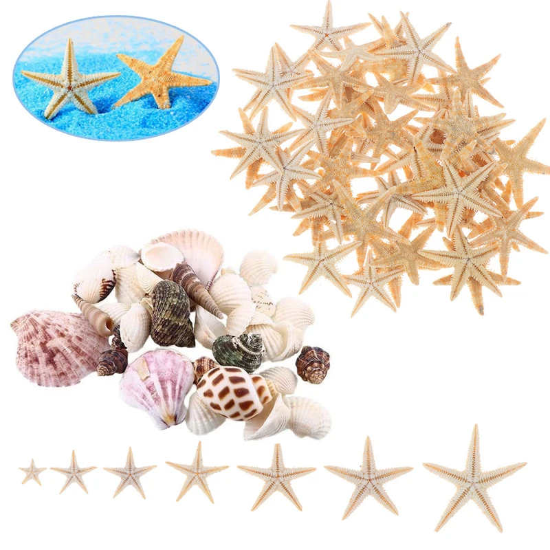12/50 pcs Flat Dried Starfish DIY Crafts Mini Sea Shells Ornaments Nautical Decor
12/50 pcs Flat Dried Starfish DIY Crafts Mini Sea Shells Ornaments Nautical Decor