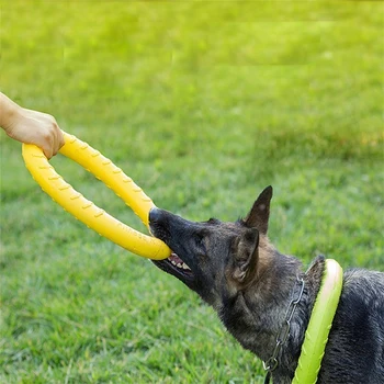 Funny EVA Pet Dog Puller Training Ball Ring Puller Durable Chewing Toy Teeth Bite Ball Interactive Dog Toy Ruuber Ball With Rope
Funny EVA Pet Dog Puller Training Ball Ring Puller Durable Chewing Toy Teeth Bite Ball Interactive Dog Toy Ruuber Ball With Rope