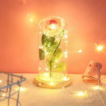 Glass NEW Year Preserved Fresh Flower Romantic Immortality Eternal Flower Rose Glass Cover Colour Present Beauty 1 Roses
Glass NEW Year Preserved Fresh Flower Romantic Immortality Eternal Flower Rose Glass Cover Colour Present Beauty 1 Roses