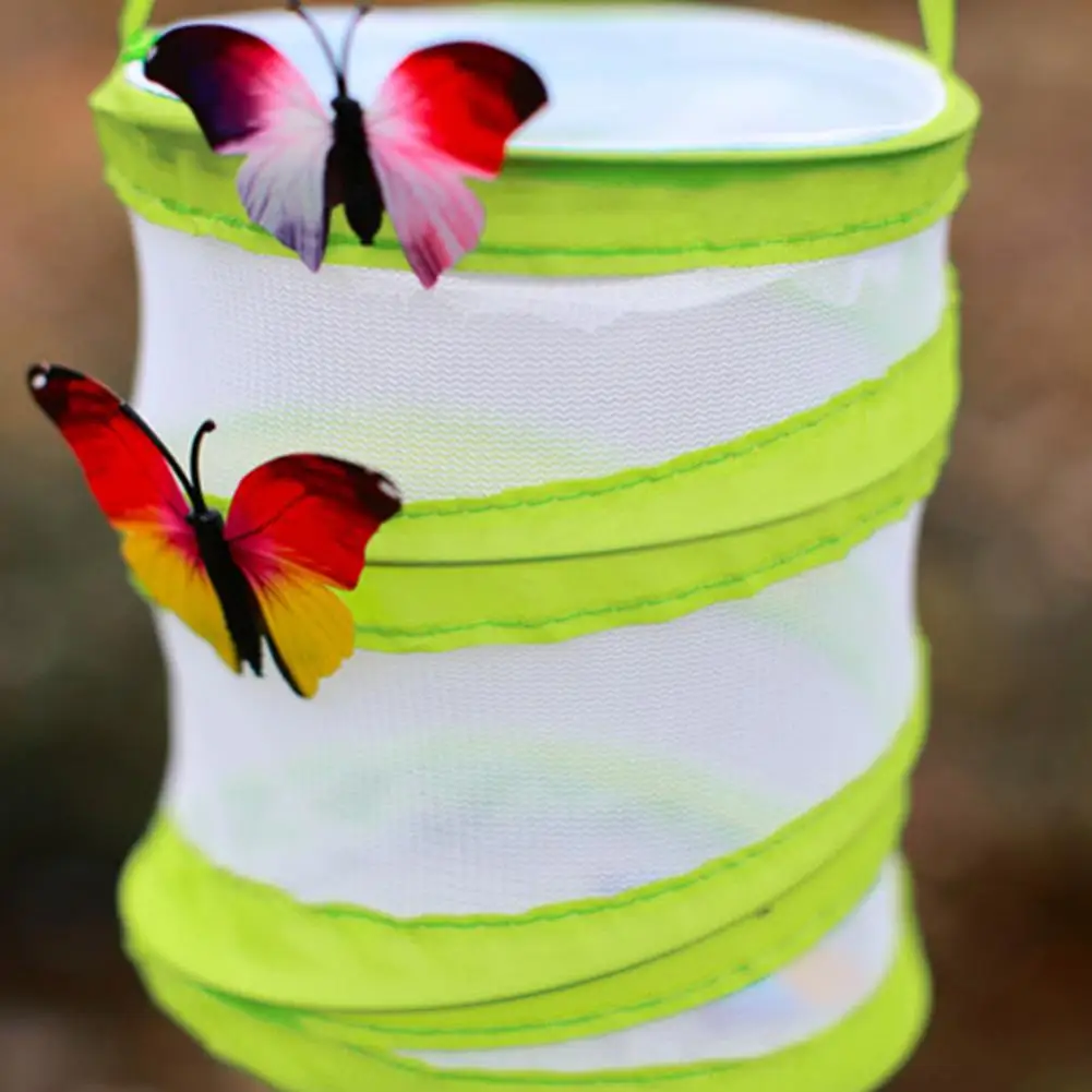 Фото 30x35 см складной насекомых бабочка растет всплывающее окно среды обитания