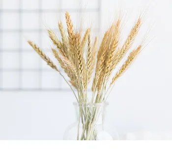 50pcs Natural Wheat Dried Flower Bouquet Wheat Living Room Decoration Artificial Plant Decoration
50pcs Natural Wheat Dried Flower Bouquet Wheat Living Room Decoration Artificial Plant Decoration