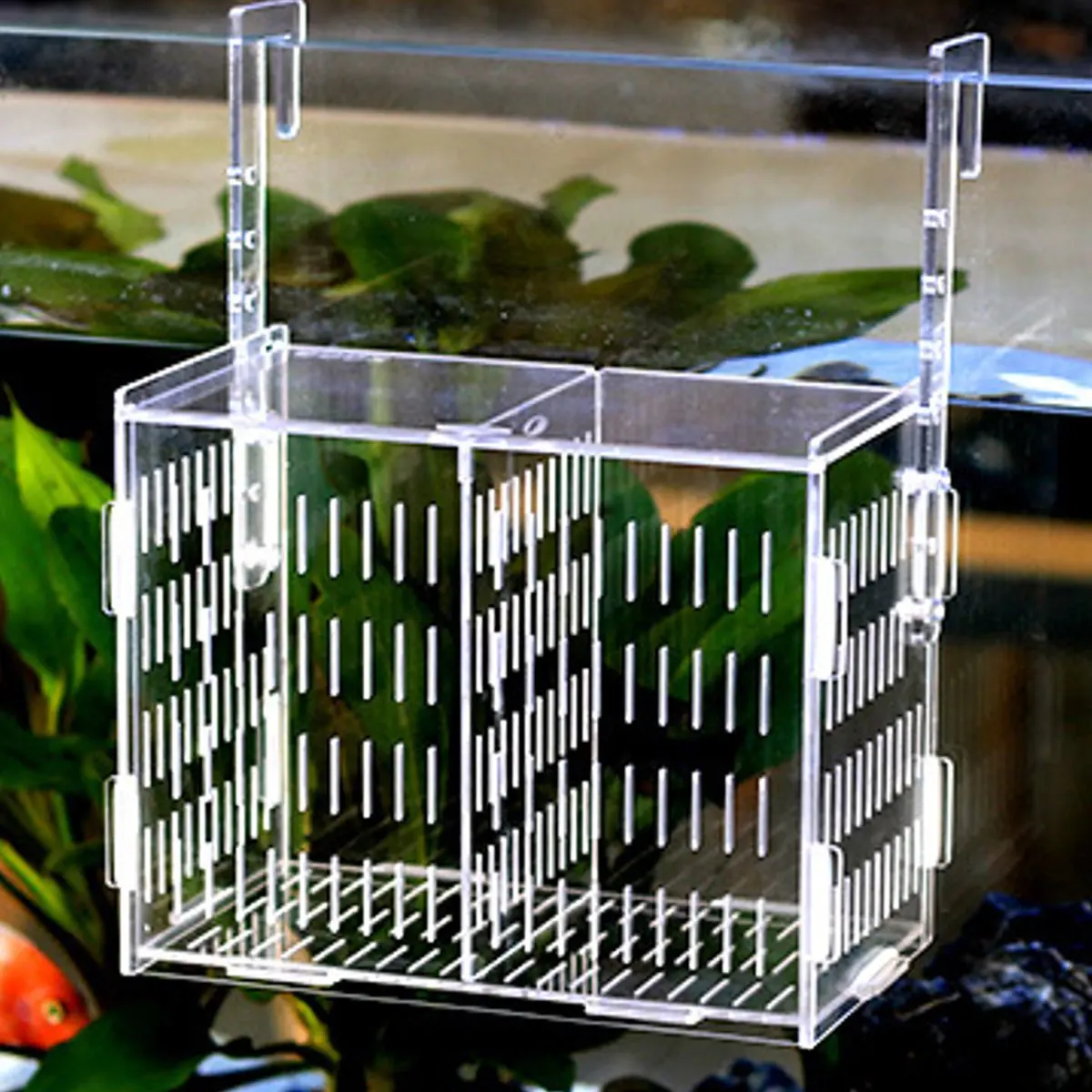 Acrylic Aquarium Breeding Hatchery Boxes Fish Tank Incubator Aquarium Isolation Breeder Boxes Transparent Breeding Isolation Box
Acrylic Aquarium Breeding Hatchery Boxes Fish Tank Incubator Aquarium Isolation Breeder Boxes Transparent Breeding Isolation Box