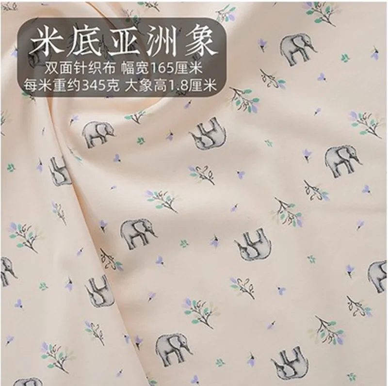米底亚洲象A