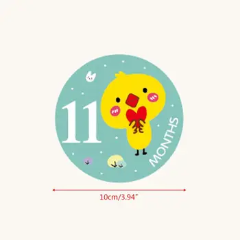 12 Pcs/set Baby Pregnant Women Monthly Photo Stickers Fun Lovely Cartoon Month 1-12 Milestone Clothing Decoration Stickers 57BF
12 Pcs/set Baby Pregnant Women Monthly Photo Stickers Fun Lovely Cartoon Month 1-12 Milestone Clothing Decoration Stickers 57BF