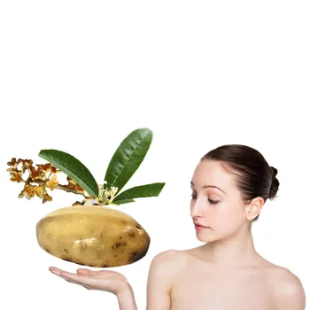 Safe and Effective Sterilization Soap Plant Extract Sterilization, Anti-inflammation and Exfoliation Cleaning Soap Discount 
Safe and Effective Sterilization Soap Plant Extract Sterilization, Anti-inflammation and Exfoliation Cleaning Soap Discount