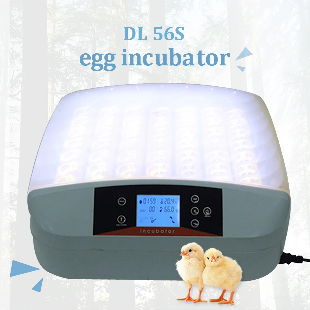 Newest Hatchery Machine 56 Egg Hatchers Cheap Price Chicken Automatic Turning Quail Brooder Egg Incubator Quail Brooder For Sale
Newest Hatchery Machine 56 Egg Hatchers Cheap Price Chicken Automatic Turning Quail Brooder Egg Incubator Quail Brooder For Sale