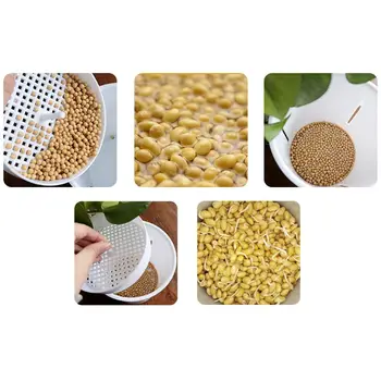 Seed Sprouter Germination Cover Bean Sprouts Filter Can Jar Sprouting Net Garden
Seed Sprouter Germination Cover Bean Sprouts Filter Can Jar Sprouting Net Garden