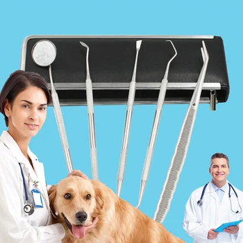 5PCS/Set Tartar Remover Stick Cat Dog Tooth Care Double-head Dental Calculus Removal Tooth Scraper Pet Dog
5PCS/Set Tartar Remover Stick Cat Dog Tooth Care Double-head Dental Calculus Removal Tooth Scraper Pet Dog